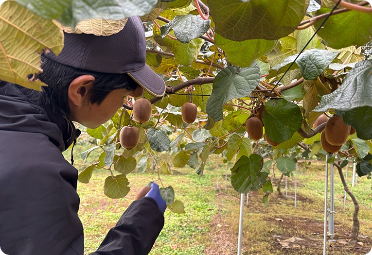 アグリサポートの写真2