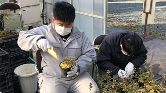 園芸・アグリサポート業務